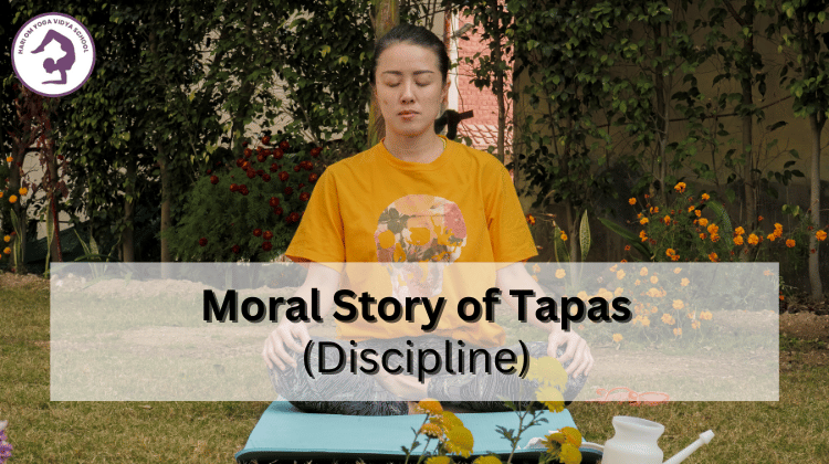 what is tapas
